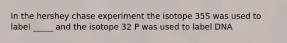 In the hershey chase experiment the isotope 35S was used to label _____ and the isotope 32 P was used to label DNA