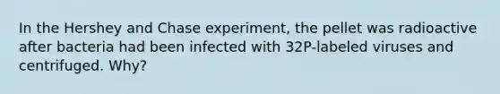 In the Hershey and Chase experiment, the pellet was radioactive after bacteria had been infected with 32P-labeled viruses and centrifuged. Why?