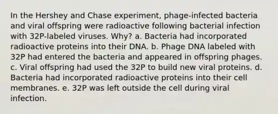 In the Hershey and Chase experiment, phage-infected bacteria and viral offspring were radioactive following bacterial infection with 32P-labeled viruses. Why? a. Bacteria had incorporated radioactive proteins into their DNA. b. Phage DNA labeled with 32P had entered the bacteria and appeared in offspring phages. c. Viral offspring had used the 32P to build new viral proteins. d. Bacteria had incorporated radioactive proteins into their cell membranes. e. 32P was left outside the cell during viral infection.