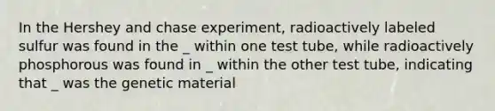 In the Hershey and chase experiment, radioactively labeled sulfur was found in the _ within one test tube, while radioactively phosphorous was found in _ within the other test tube, indicating that _ was the genetic material