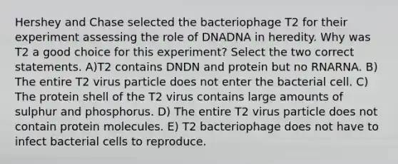 Hershey and Chase selected the bacteriophage T2 for their experiment assessing the role of DNADNA in heredity. Why was T2 a good choice for this experiment? Select the two correct statements. A)T2 contains DNDN and protein but no RNARNA. B) The entire T2 virus particle does not enter the bacterial cell. C) The protein shell of the T2 virus contains large amounts of sulphur and phosphorus. D) The entire T2 virus particle does not contain protein molecules. E) T2 bacteriophage does not have to infect bacterial cells to reproduce.