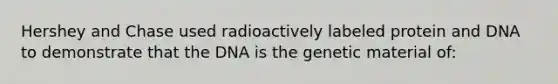 Hershey and Chase used radioactively labeled protein and DNA to demonstrate that the DNA is the genetic material of: