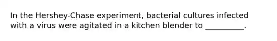 In the Hershey-Chase experiment, bacterial cultures infected with a virus were agitated in a kitchen blender to __________.