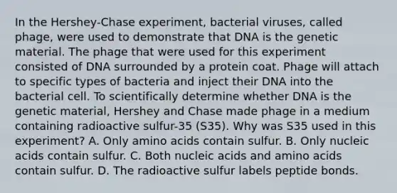 In the Hershey-Chase experiment, bacterial viruses, called phage, were used to demonstrate that DNA is the genetic material. The phage that were used for this experiment consisted of DNA surrounded by a protein coat. Phage will attach to specific types of bacteria and inject their DNA into the bacterial cell. To scientifically determine whether DNA is the genetic material, Hershey and Chase made phage in a medium containing radioactive sulfur-35 (S35). Why was S35 used in this experiment? A. Only amino acids contain sulfur. B. Only nucleic acids contain sulfur. C. Both nucleic acids and amino acids contain sulfur. D. The radioactive sulfur labels peptide bonds.