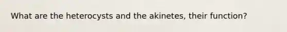 What are the heterocysts and the akinetes, their function?