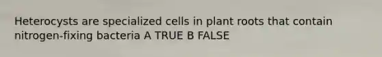 Heterocysts are specialized cells in plant roots that contain nitrogen-fixing bacteria A TRUE B FALSE