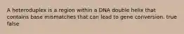 A heteroduplex is a region within a DNA double helix that contains base mismatches that can lead to gene conversion. true false