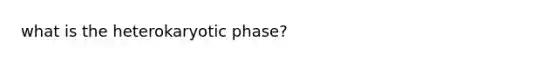 what is the heterokaryotic phase?