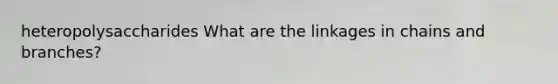 heteropolysaccharides What are the linkages in chains and branches?