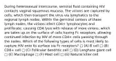 During heterosexual intercourse, seminal fluid containing HIV contacts vaginal squamous mucosa. The virions are captured by cells, which then transport the virus via lymphatics to the regional lymph nodes. Within the germinal centers of these lymph nodes, the virions infect CD4+ lymphocytes and proliferate, causing CD4 lysis with release of more virions, which are taken up on the surface of cells having Fc receptors, allowing continued infection by HIV of more CD4+ cells passing through the nodes. Which of the following types of cells is most likely to capture HIV onto its surface via Fc receptors? □ (A) B cell □ (B) CD8+ cell □ (C) Follicular dendritic cell □ (D) Langhans giant cell □ (E) Macrophage □ (F) Mast cell □ (G) Natural killer cell