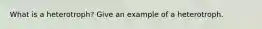 What is a heterotroph? Give an example of a heterotroph.