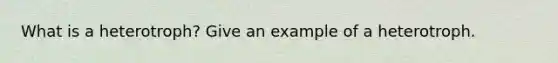 What is a heterotroph? Give an example of a heterotroph.