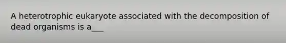 A heterotrophic eukaryote associated with the decomposition of dead organisms is a___