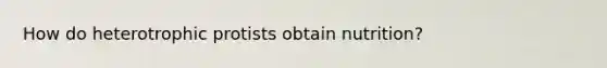 How do heterotrophic protists obtain nutrition?