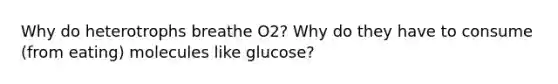 Why do heterotrophs breathe O2? Why do they have to consume (from eating) molecules like glucose?