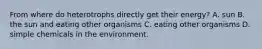 From where do heterotrophs directly get their energy? A. sun B. the sun and eating other organisms C. eating other organisms D. simple chemicals in the environment.