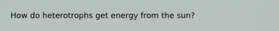 How do heterotrophs get energy from the sun?