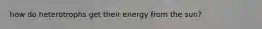 how do heterotrophs get their energy from the sun?