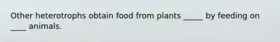 Other heterotrophs obtain food from plants _____ by feeding on ____ animals.