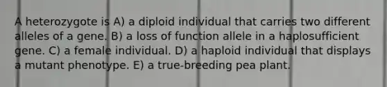 A heterozygote is A) a diploid individual that carries two different alleles of a gene. B) a loss of function allele in a haplosufficient gene. C) a female individual. D) a haploid individual that displays a mutant phenotype. E) a true-breeding pea plant.