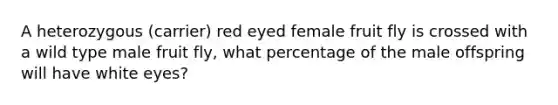 A heterozygous (carrier) red eyed female fruit fly is crossed with a wild type male fruit fly, what percentage of the male offspring will have white eyes?