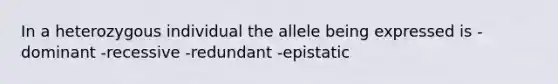 In a heterozygous individual the allele being expressed is -dominant -recessive -redundant -epistatic