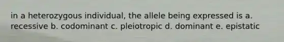 in a heterozygous individual, the allele being expressed is a. recessive b. codominant c. pleiotropic d. dominant e. epistatic