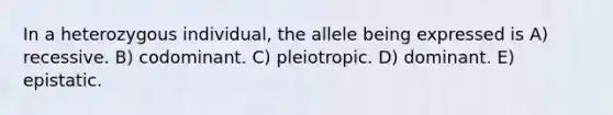 In a heterozygous individual, the allele being expressed is A) recessive. B) codominant. C) pleiotropic. D) dominant. E) epistatic.