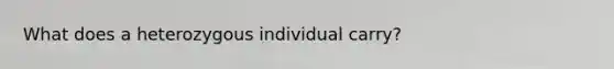 What does a heterozygous individual carry?