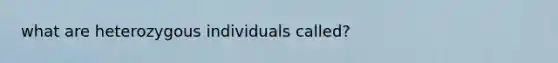 what are heterozygous individuals called?