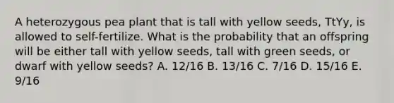 A heterozygous pea plant that is tall with yellow seeds, TtYy, is allowed to self-fertilize. What is the probability that an offspring will be either tall with yellow seeds, tall with green seeds, or dwarf with yellow seeds? A. 12/16 B. 13/16 C. 7/16 D. 15/16 E. 9/16