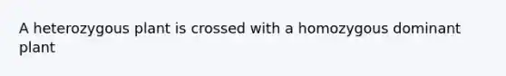 A heterozygous plant is crossed with a homozygous dominant plant