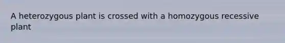 A heterozygous plant is crossed with a homozygous recessive plant