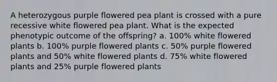 A heterozygous purple flowered pea plant is crossed with a pure recessive white flowered pea plant. What is the expected phenotypic outcome of the offspring? a. 100% white flowered plants b. 100% purple flowered plants c. 50% purple flowered plants and 50% white flowered plants d. 75% white flowered plants and 25% purple flowered plants