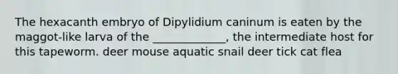 The hexacanth embryo of Dipylidium caninum is eaten by the maggot-like larva of the _____________, the intermediate host for this tapeworm. deer mouse aquatic snail deer tick cat flea