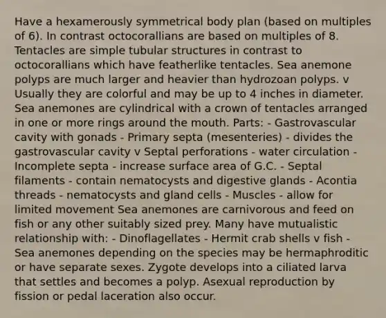 Have a hexamerously symmetrical body plan (based on multiples of 6). In contrast octocorallians are based on multiples of 8. Tentacles are simple tubular structures in contrast to octocorallians which have featherlike tentacles. Sea anemone polyps are much larger and heavier than hydrozoan polyps. v Usually they are colorful and may be up to 4 inches in diameter. Sea anemones are cylindrical with a crown of tentacles arranged in one or more rings around the mouth. Parts: - Gastrovascular cavity with gonads - Primary septa (mesenteries) - divides the gastrovascular cavity v Septal perforations - water circulation - Incomplete septa - increase surface area of G.C. - Septal filaments - contain nematocysts and digestive glands - Acontia threads - nematocysts and gland cells - Muscles - allow for limited movement Sea anemones are carnivorous and feed on fish or any other suitably sized prey. Many have mutualistic relationship with: - Dinoflagellates - Hermit crab shells v fish - Sea anemones depending on the species may be hermaphroditic or have separate sexes. Zygote develops into a ciliated larva that settles and becomes a polyp. Asexual reproduction by fission or pedal laceration also occur.