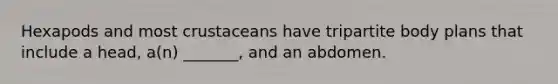 Hexapods and most crustaceans have tripartite body plans that include a head, a(n) _______, and an abdomen.