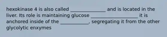 hexokinase 4 is also called _______________ and is located in the liver. Its role is maintaining glucose ____________________ it is anchored inside of the ____________, segregating it from the other glycolytic enxymes