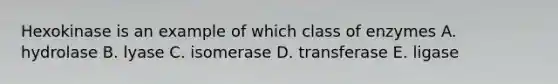 Hexokinase is an example of which class of enzymes A. hydrolase B. lyase C. isomerase D. transferase E. ligase