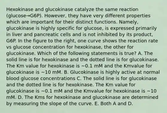 Hexokinase and glucokinase catalyze the same reaction (glucose→G6P). However, they have very different properties which are important for their distinct functions. Namely, glucokinase is highly specific for glucose, is expressed primarily in liver and pancreatic cells and is not inhibited by its product, G6P. In the figure to the right, one curve shows the reaction rate vs glucose concentration for hexokinase, the other for glucokinase. Which of the following statements is true? A. The solid line is for hexokinase and the dotted line is for glucokinase. The Km value for hexokinase is ~0.1 mM and the Kmvalue for glucokinase is ~10 mM. B. Glucokinase is highly active at normal blood glucose concentrations C. The solid line is for glucokinase and the dotted line is for hexokinase. The Km value for glucokinase is ~0.1 mM and the Kmvalue for hexokinase is ~10 mM. D. The Kms for hexokinase and glucokinase are determined by measuring the slope of the curve. E. Both A and D.