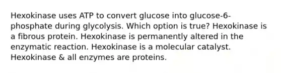 Hexokinase uses ATP to convert glucose into glucose-6-phosphate during glycolysis. Which option is true? Hexokinase is a fibrous protein. Hexokinase is permanently altered in the enzymatic reaction. Hexokinase is a molecular catalyst. Hexokinase & all enzymes are proteins.