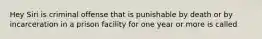 Hey Siri is criminal offense that is punishable by death or by incarceration in a prison facility for one year or more is called