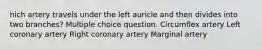 hich artery travels under the left auricle and then divides into two branches? Multiple choice question. Circumflex artery Left coronary artery Right coronary artery Marginal artery