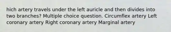 hich artery travels under the left auricle and then divides into two branches? Multiple choice question. Circumflex artery Left coronary artery Right coronary artery Marginal artery