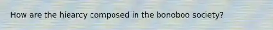 How are the hiearcy composed in the bonoboo society?