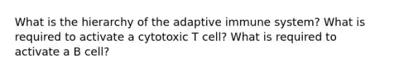 What is the hierarchy of the adaptive immune system? What is required to activate a cytotoxic T cell? What is required to activate a B cell?