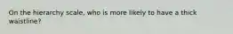 On the hierarchy scale, who is more likely to have a thick waistline?