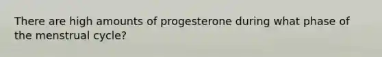 There are high amounts of progesterone during what phase of the menstrual cycle?