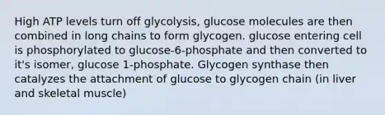 High ATP levels turn off glycolysis, glucose molecules are then combined in long chains to form glycogen. glucose entering cell is phosphorylated to glucose-6-phosphate and then converted to it's isomer, glucose 1-phosphate. Glycogen synthase then catalyzes the attachment of glucose to glycogen chain (in liver and skeletal muscle)