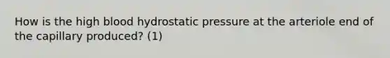 How is the high blood hydrostatic pressure at the arteriole end of the capillary produced? (1)